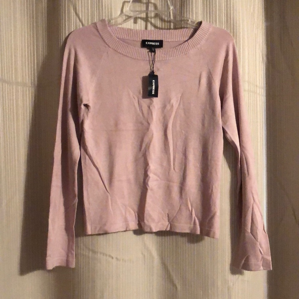 Express brand sweater